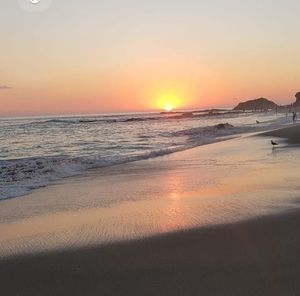 Meet your Posher, Noemi